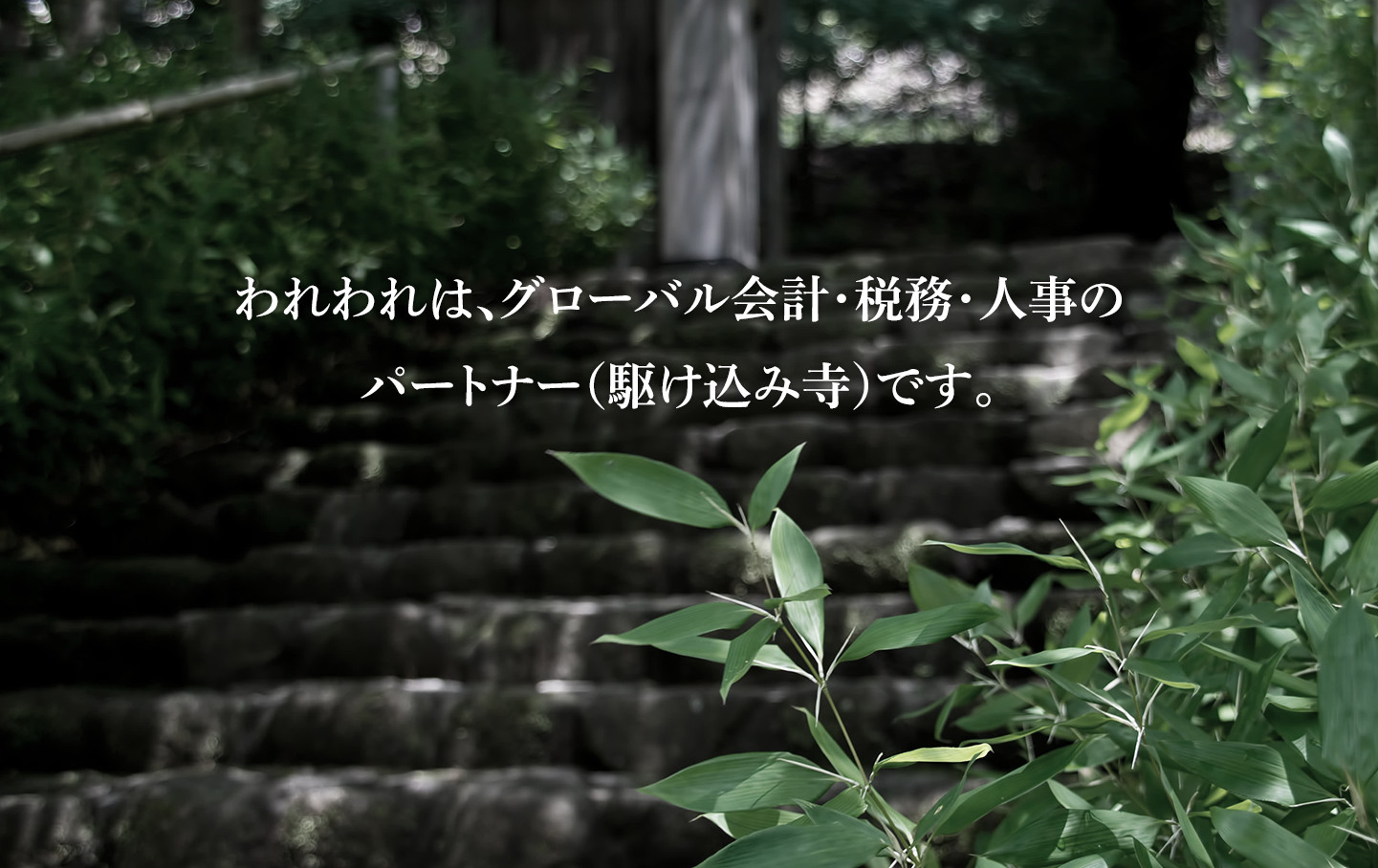 われわれは、グローバル会計・税務・人事のパートナー（駆け込み寺）です。