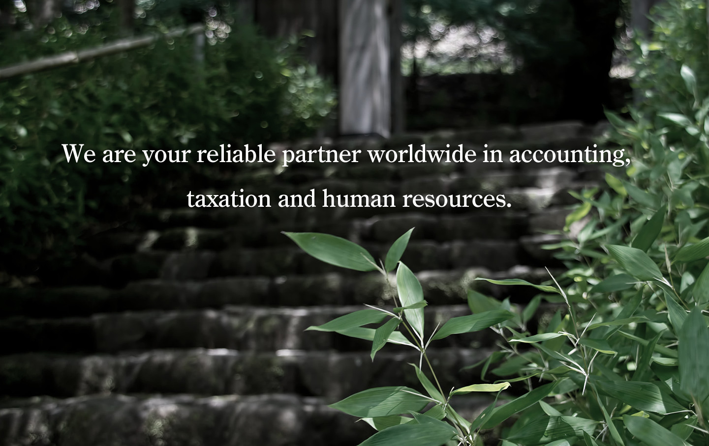 We are your reliable partner worldwide in accounting, taxation and human resources.